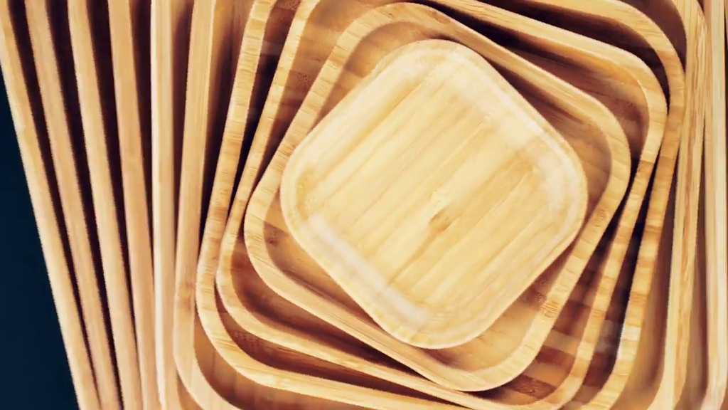 Bamboo Square Plate 10" inch X 10" inch (Set of 6)