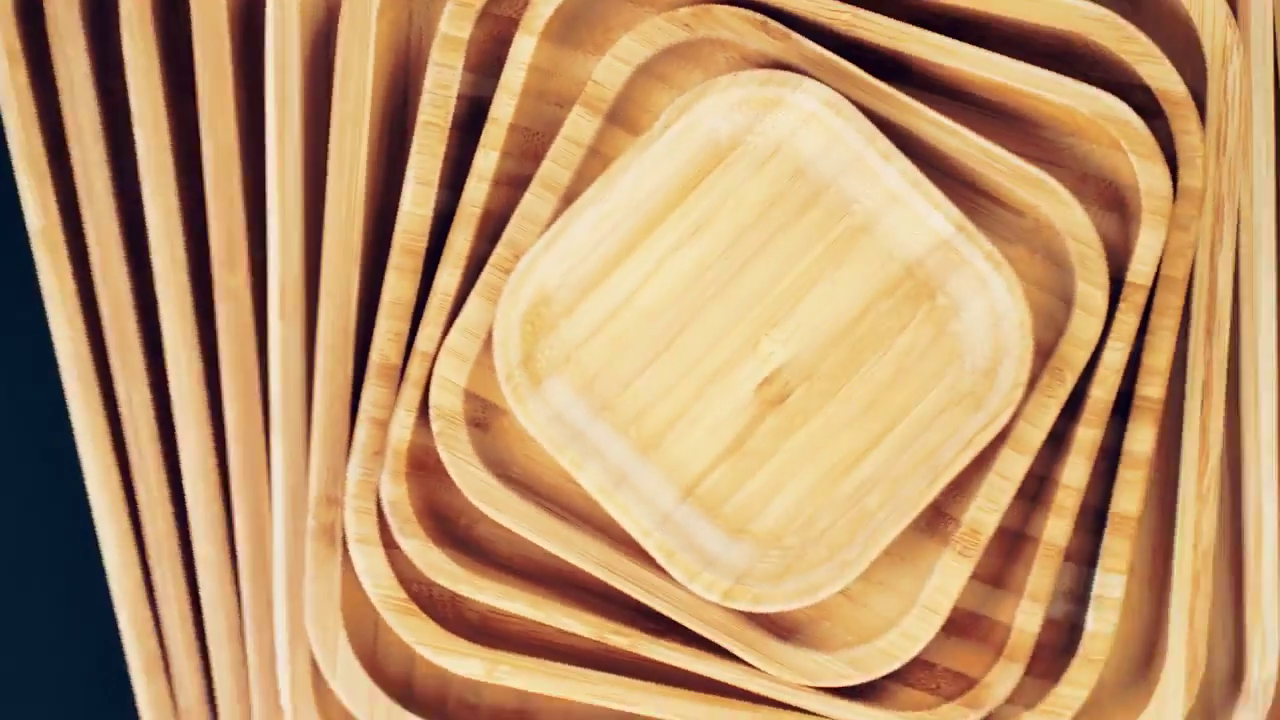 Bamboo Square Plate 10" inch X 10" inch (Set of 6)